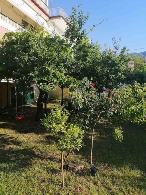 شقة Evangelias House! ستافروس المظهر الخارجي الصورة